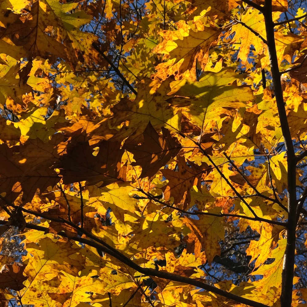 Meet your Posher, Beata